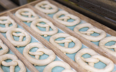 Neue Termine Breznbackkurse