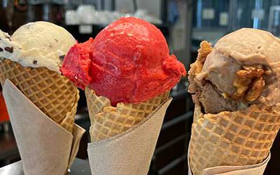 Hausgemachtes Bio-Eis